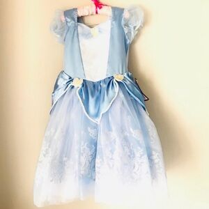 Blue Princess Tulle Dress Costume for Girls